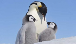 企鹅视频,精彩内容一网打尽，带你领略视听盛宴